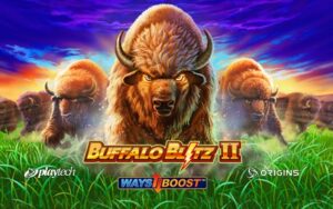 Buffalo_Blitz_2_428x268