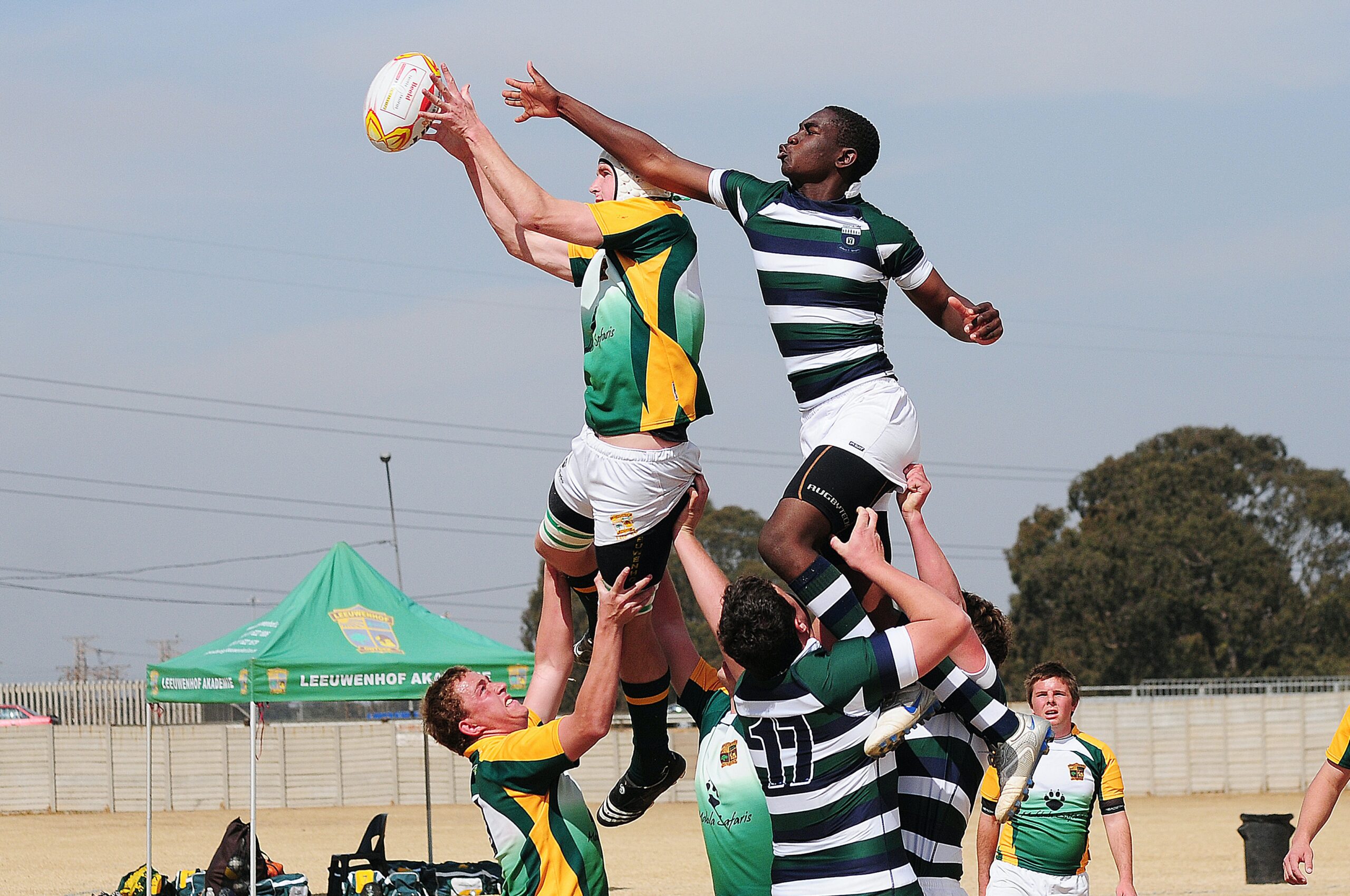 Springbok winger Aphiwe Dyanty